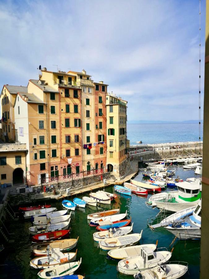 Appartement Sguardo Sul Porto à Camogli Extérieur photo