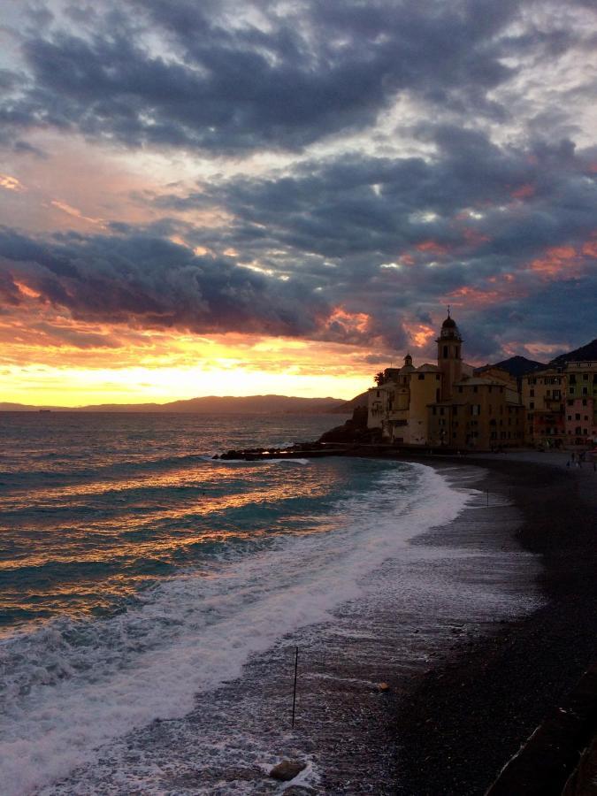 Appartement Sguardo Sul Porto à Camogli Extérieur photo